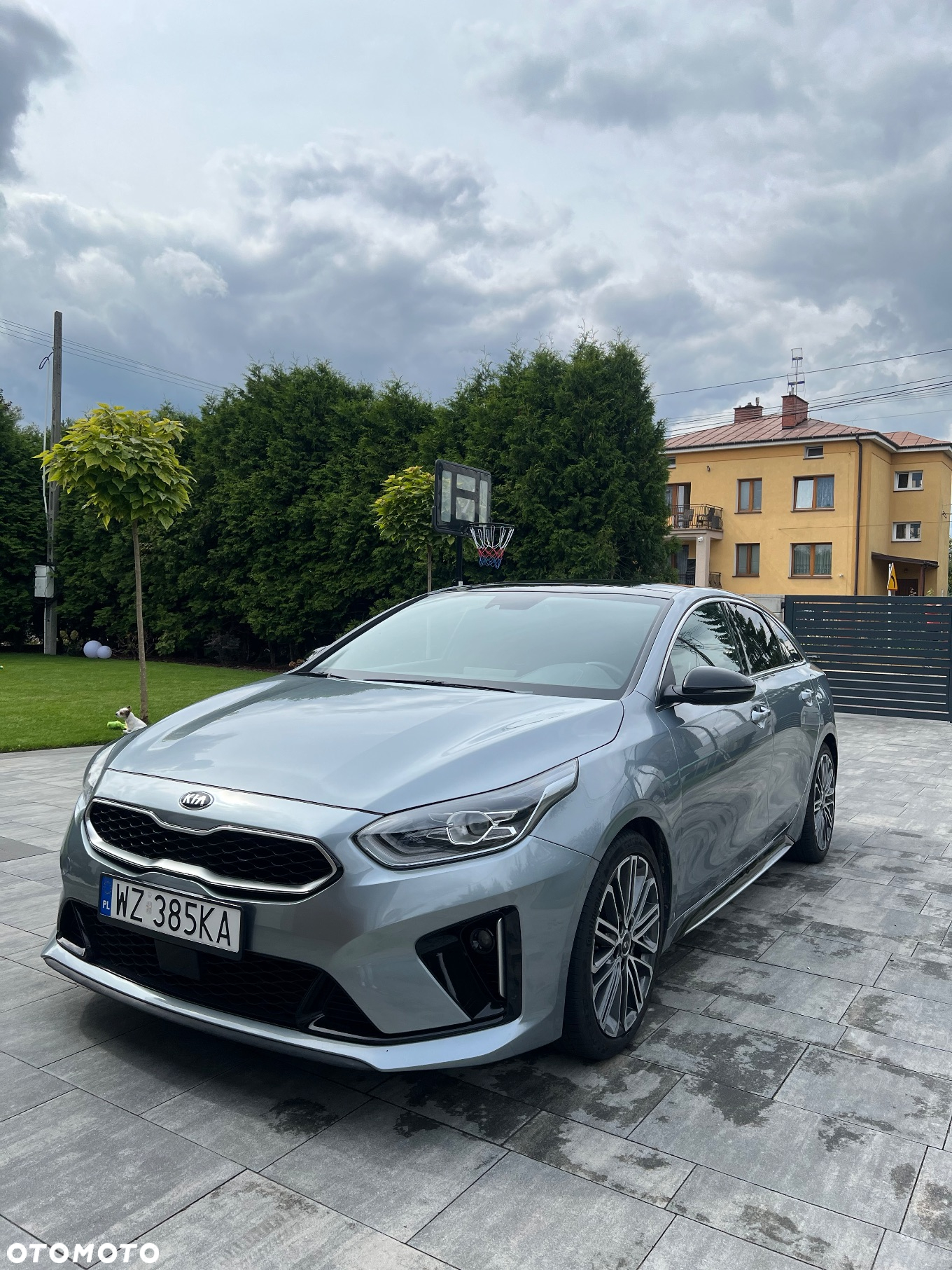 Kia ProCeed 1.5 T-GDI GT Line DCT - 7