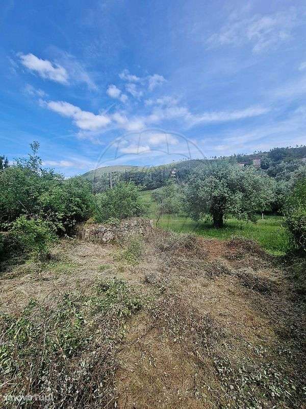 Terreno  para venda - Grande imagem: 4/9