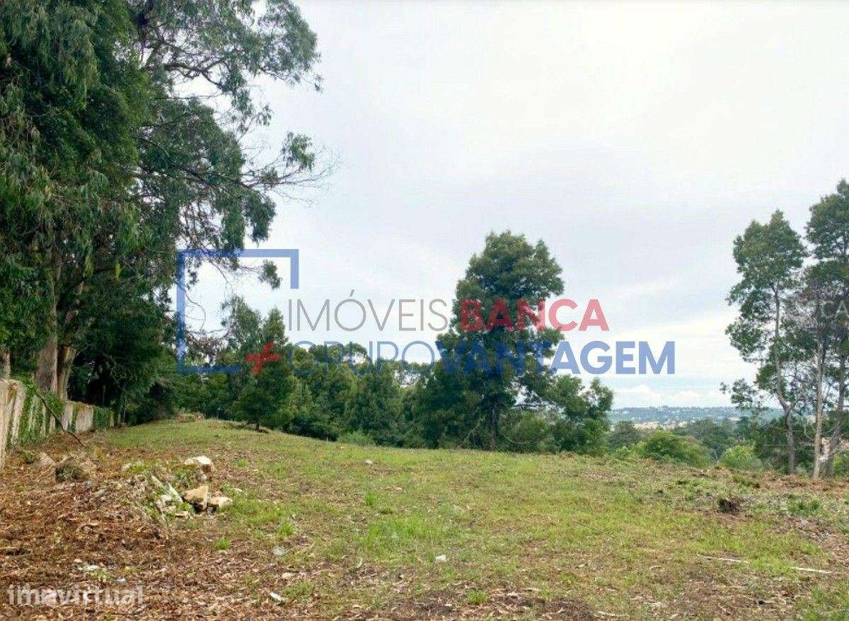 Terreno para construção - SINTRA - Grande imagem: 3/14
