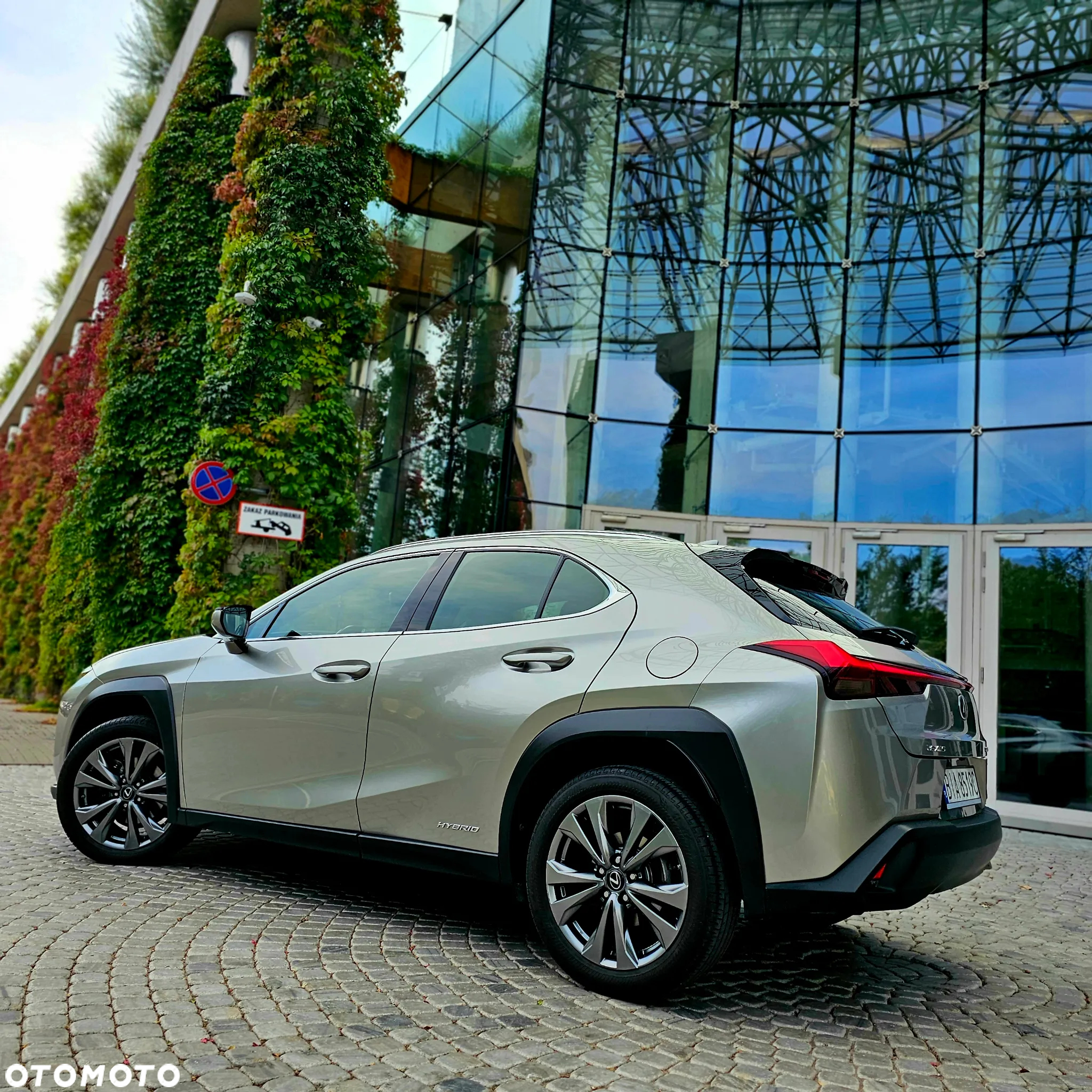 Lexus UX 250h GPF Elegance 2WD - 3
