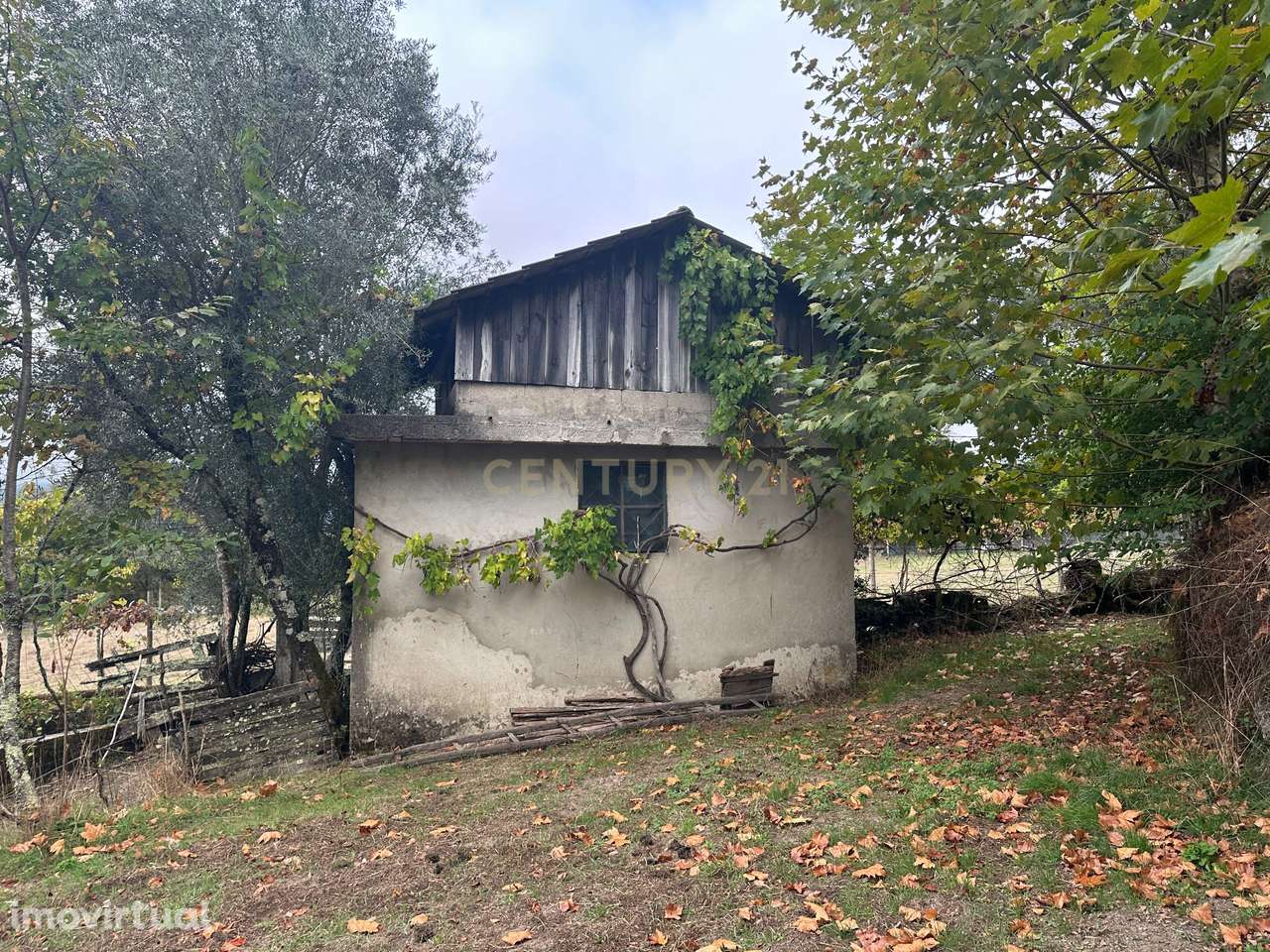 Terreno com 3.300 m² no Gerês – A 5 Minutos do Rio Caldo - Grande imagem: 2/45