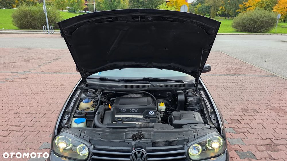 Volkswagen Golf IV 1.6 Trendline - 25