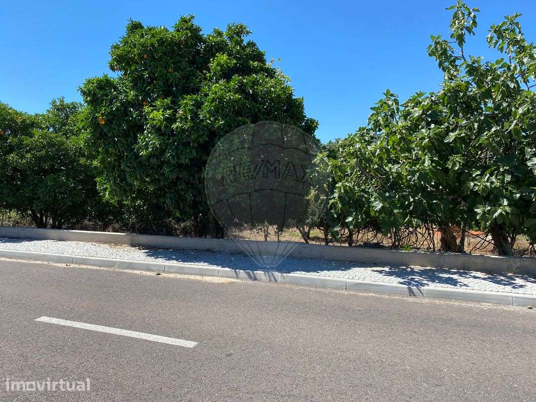 Terreno  para venda - Grande imagem: 4/10