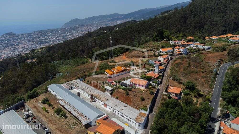 Terreno com 9.300 m² - Santa Cruz - Grande imagem: 5/30