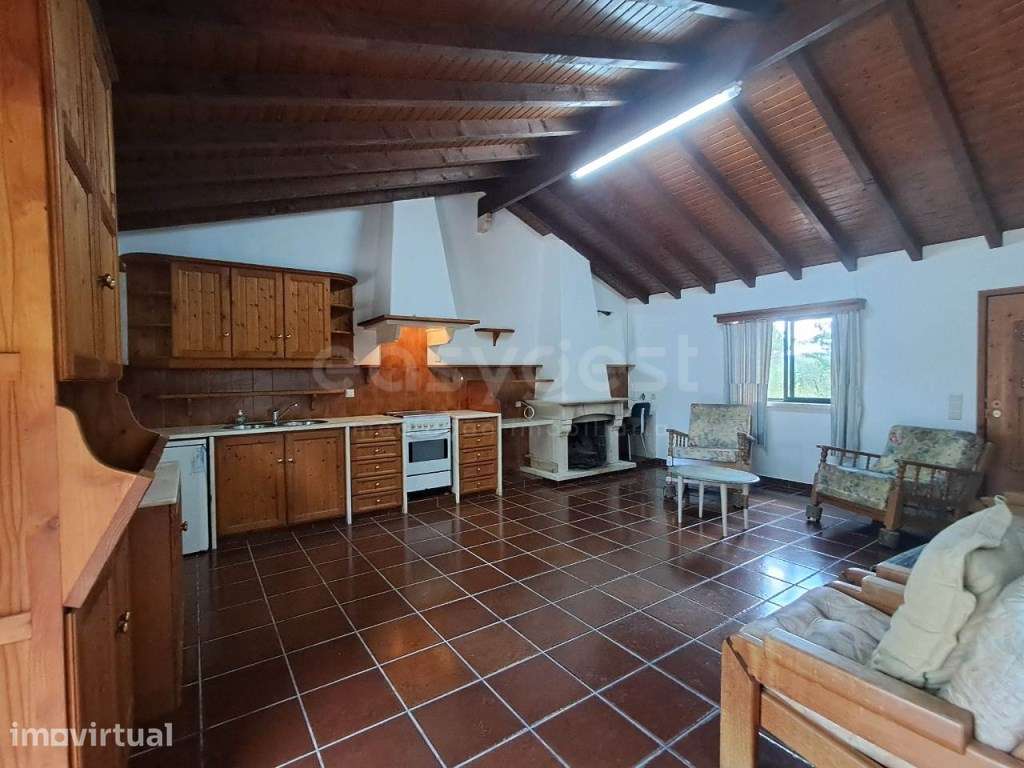 Quinta com mais de 2 hectares em São Pedro de Tomar - Grande imagem: 2/31