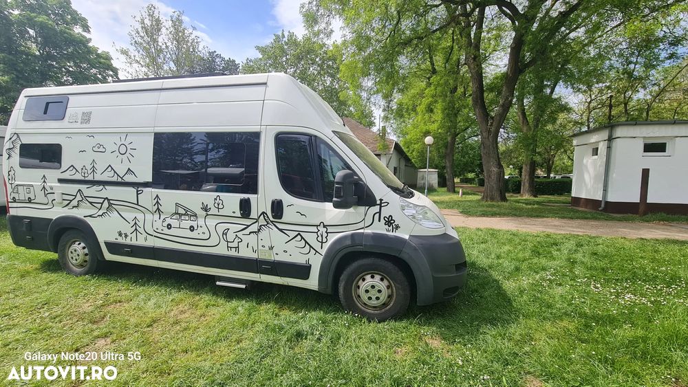 Alta Boxer - 16