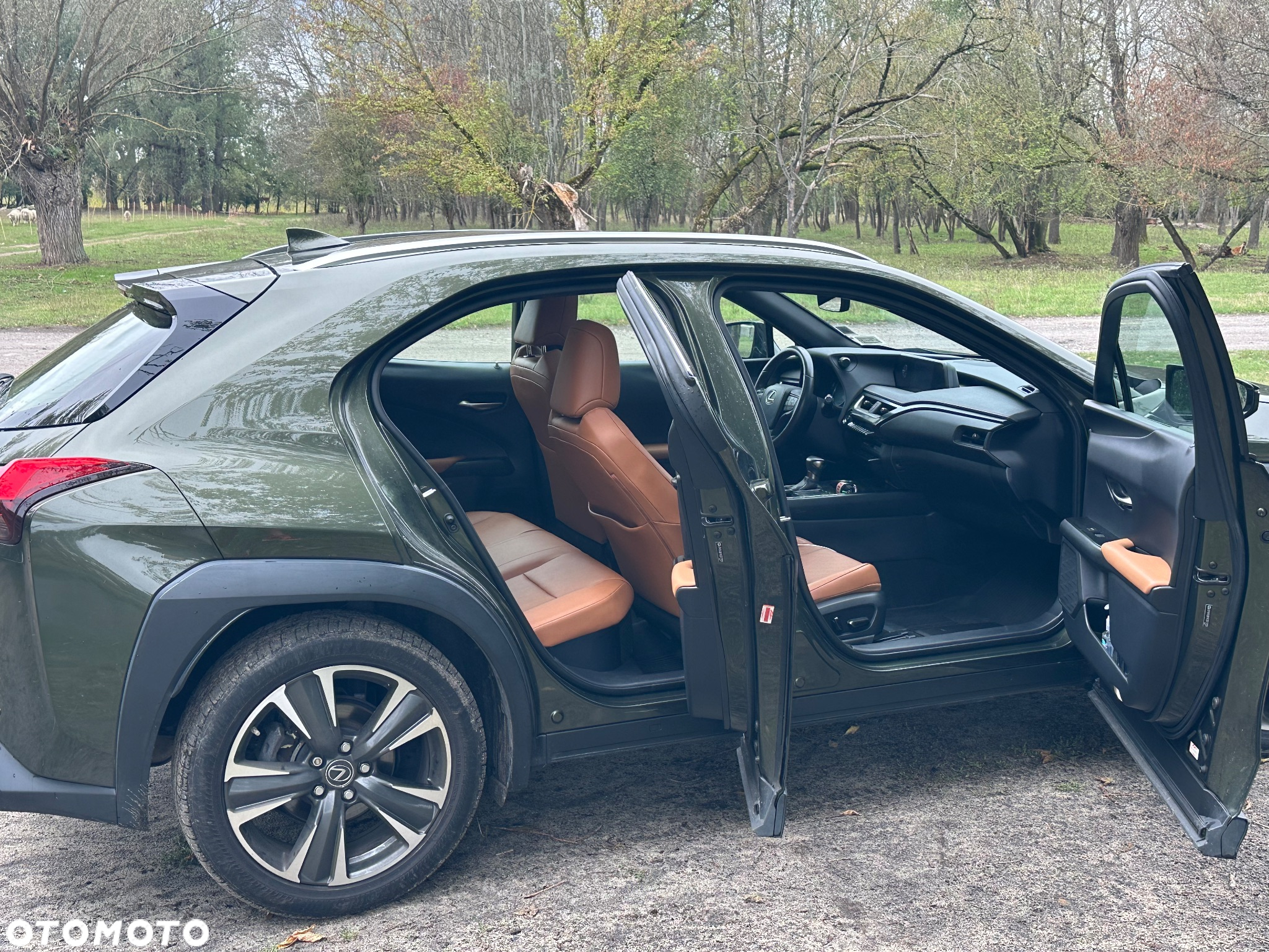 Lexus UX 250h GPF Prestige AWD - 5
