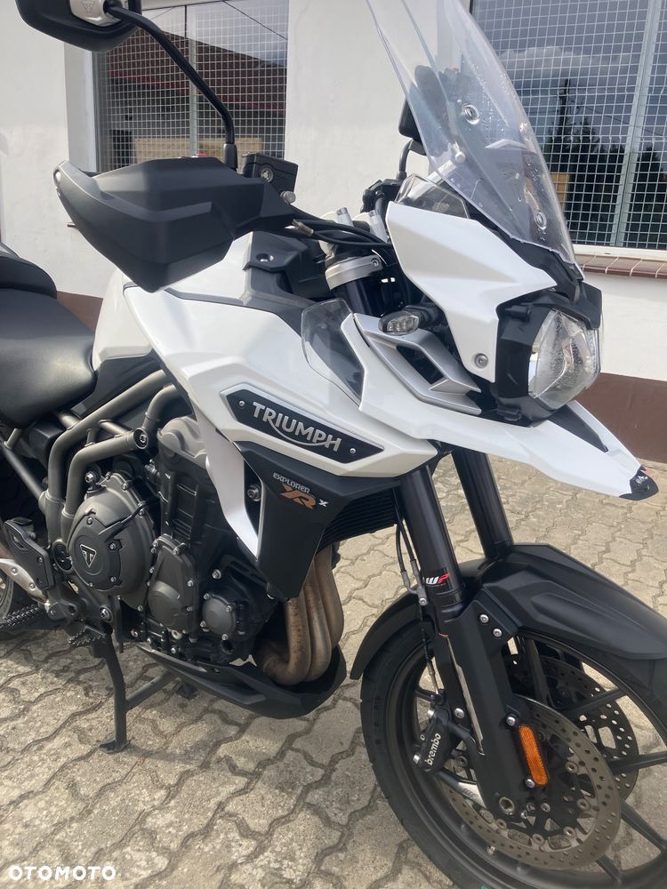 Triumph Tiger - 19