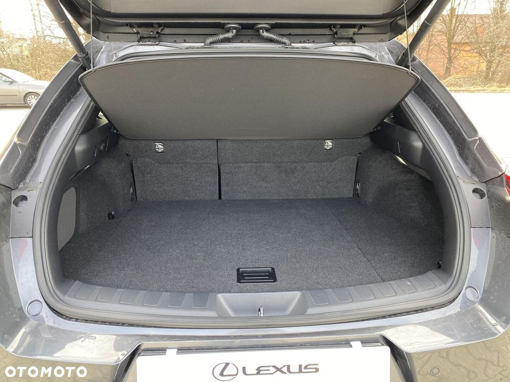 Lexus UX 250h GPF F Sport Design 2WD - 12