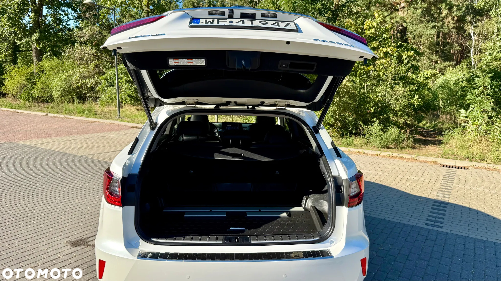 Lexus RX 200t / 300 Elegance - 10