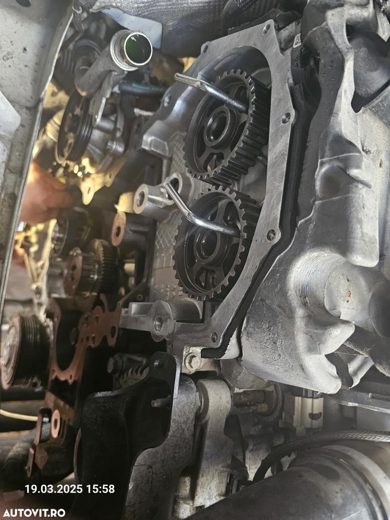 Ford Transit Custom - 24