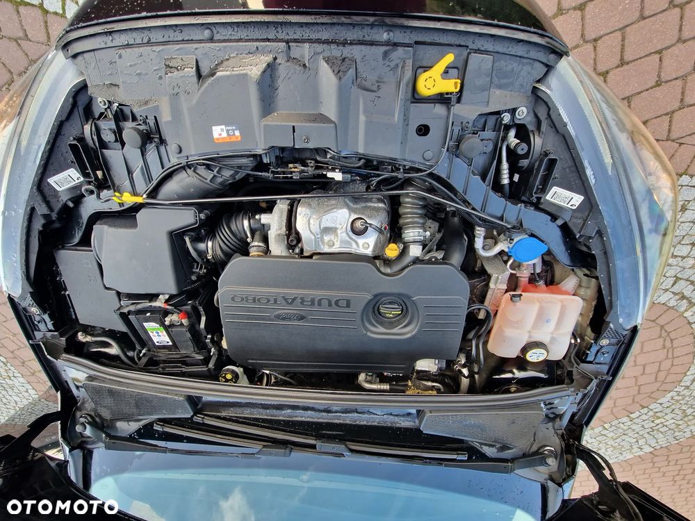 Ford Focus - 17