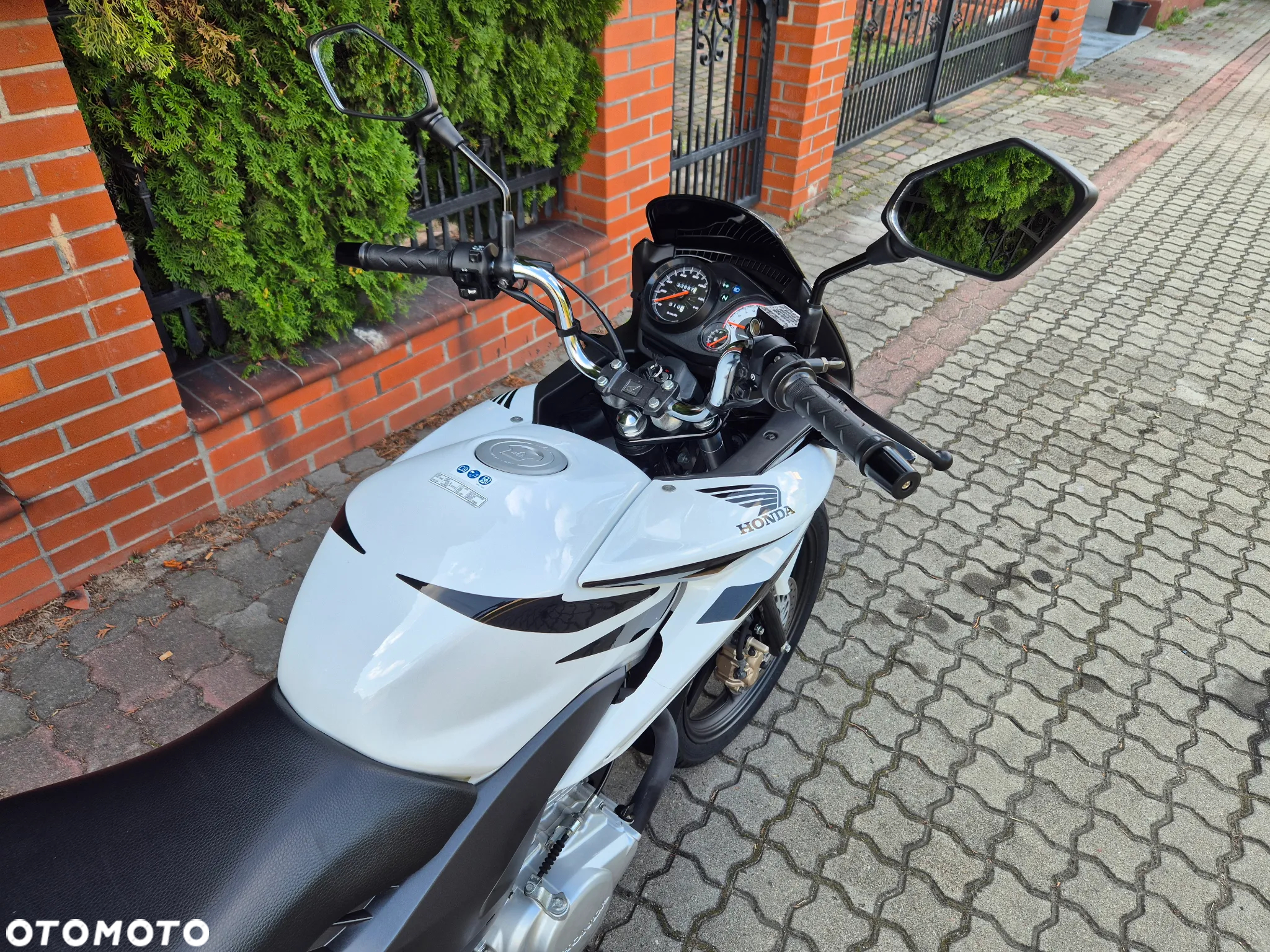 Honda CBF - 8