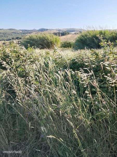 Terreno agrícola para armazém agricoy - Grande imagem: 2/3
