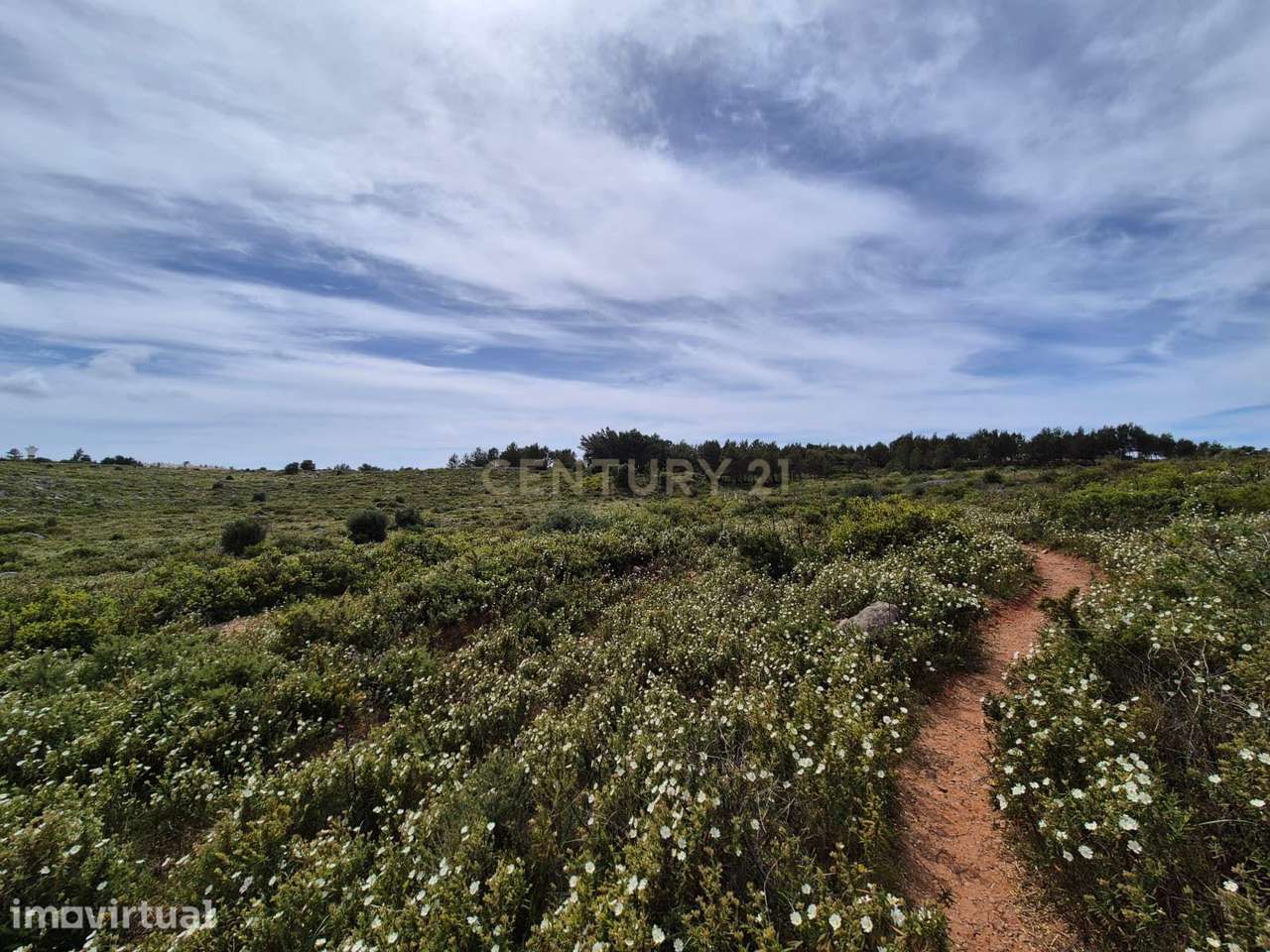 Terreno Rústico com 20.000 m² em Murches, Cascais – Vista Serra de Sin - Grande imagem: 5/22