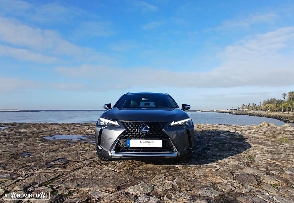 Lexus UX 300e Luxury+TAE+JLL18 - 10