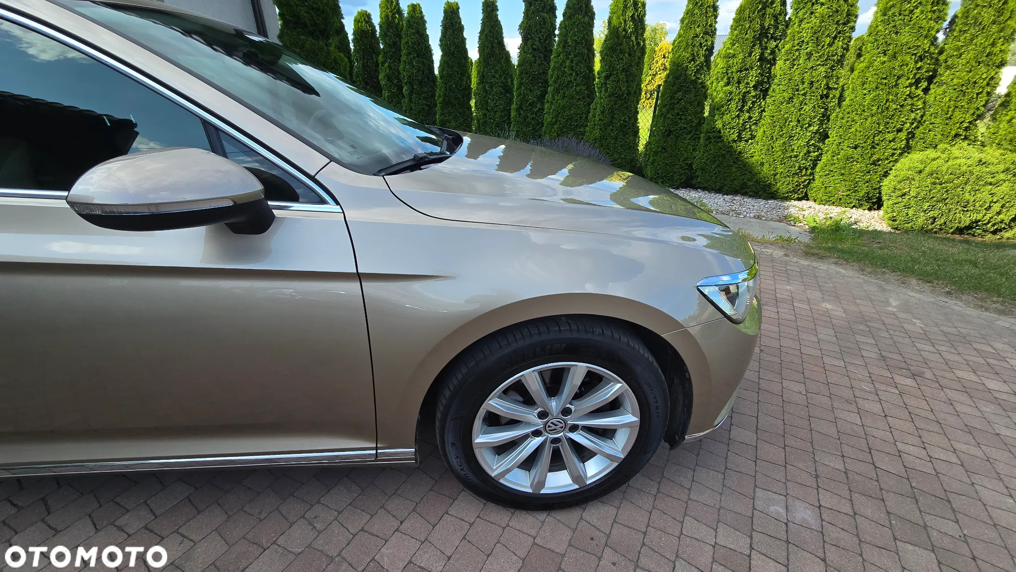 Volkswagen Passat - 19