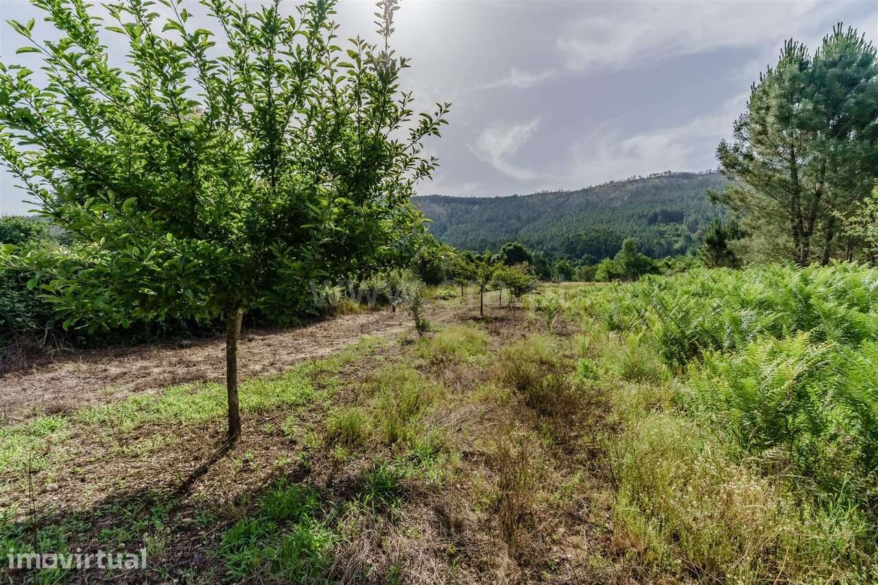 Terreno / Covilhã, Paul - Grande imagem: 5/19