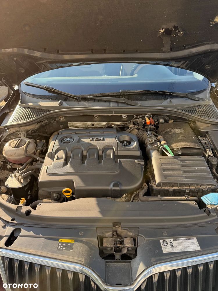 Skoda Octavia 1.6 TDI Greenline - 11