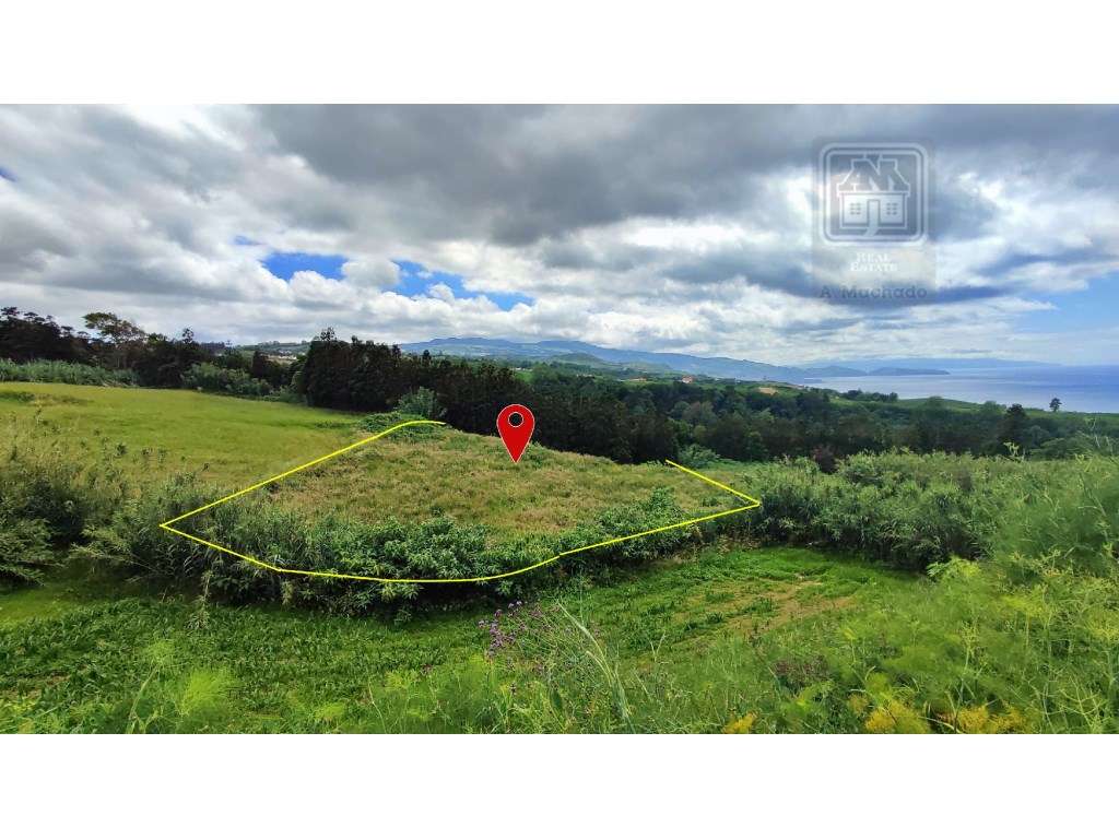 VENDA de TERRENO RÚSTICO - Pastagem e Mata - Ribeira Funda, Fenais ... - Grande imagem: 2/15