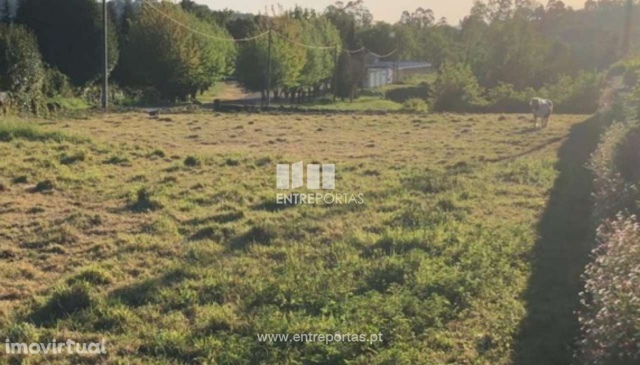 Venda de Terreno para construção em Padornelo, Paredes de Coura - Grande imagem: 3/20