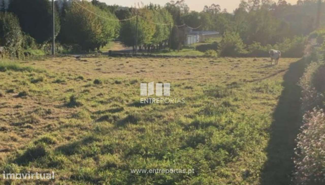 Venda de Terreno para construção em Padornelo, Paredes de Coura - Grande imagem: 3/20