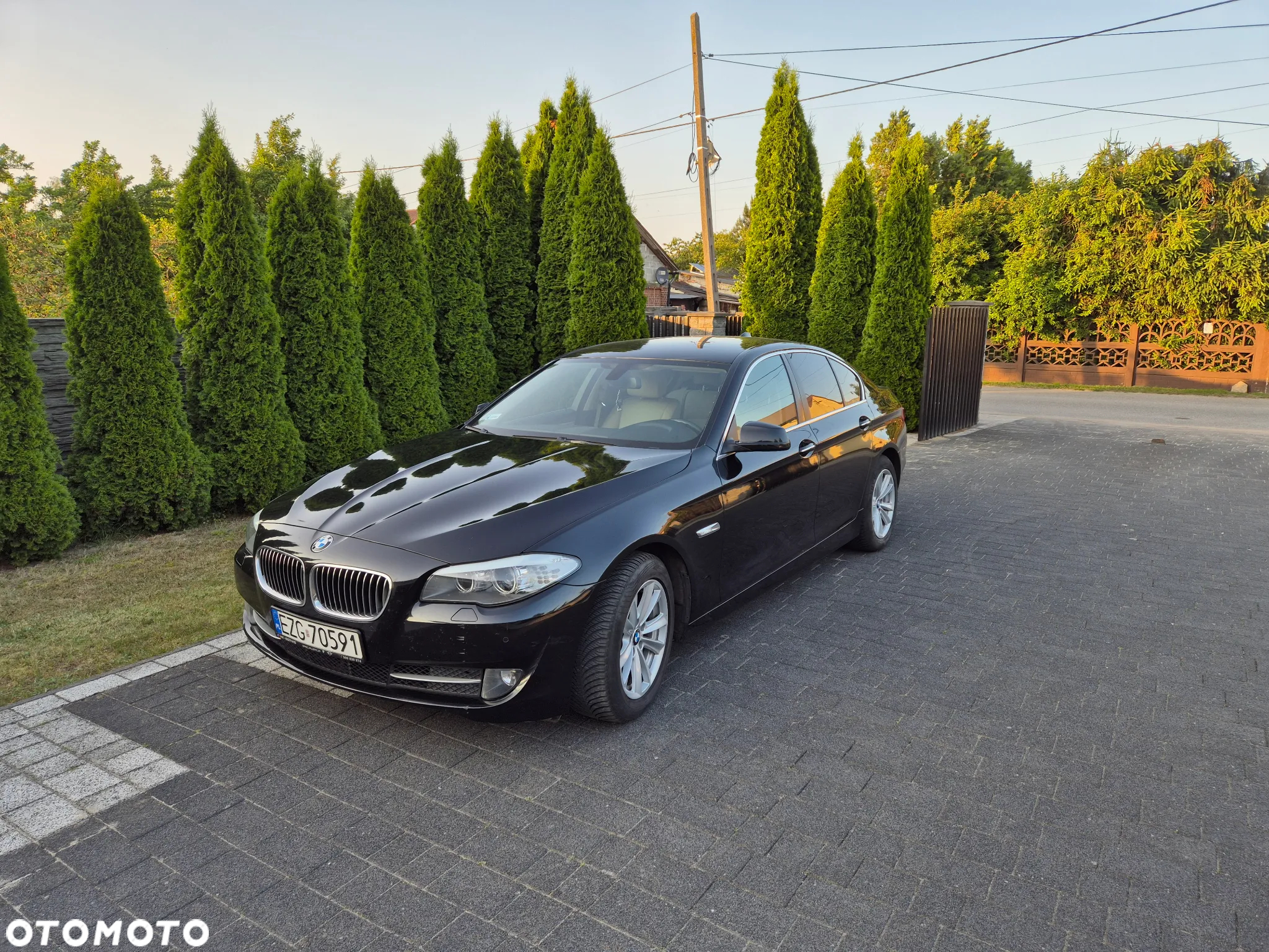 BMW Seria 5 - 6