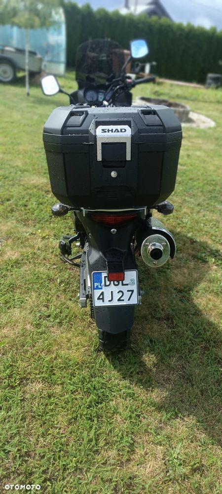 Suzuki DL - 2