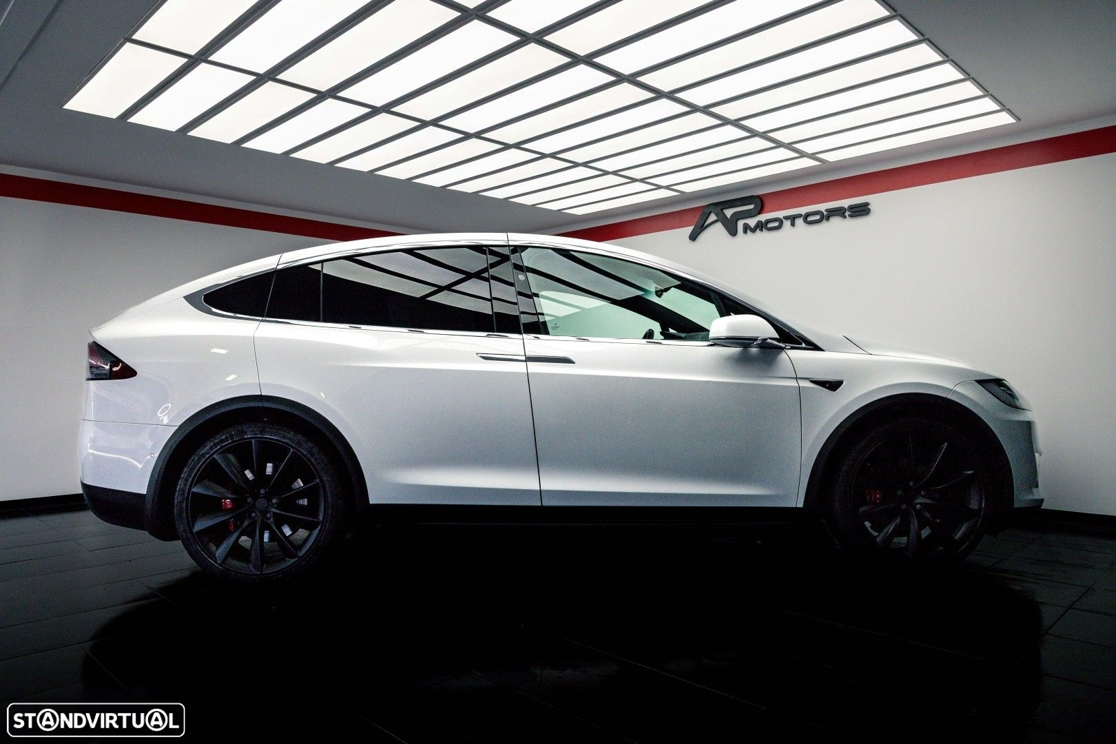 Tesla Model X P100D - 13