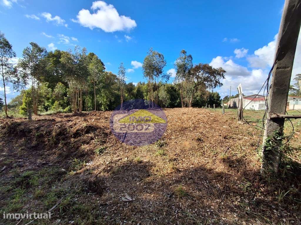 Terreno Rustico com 2.100m2 - São Paio de Oleiros - Grande imagem: 3/23