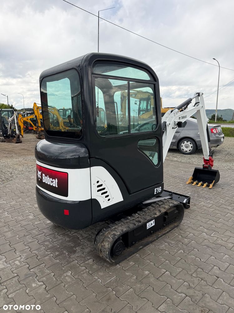 Bobcat - 4