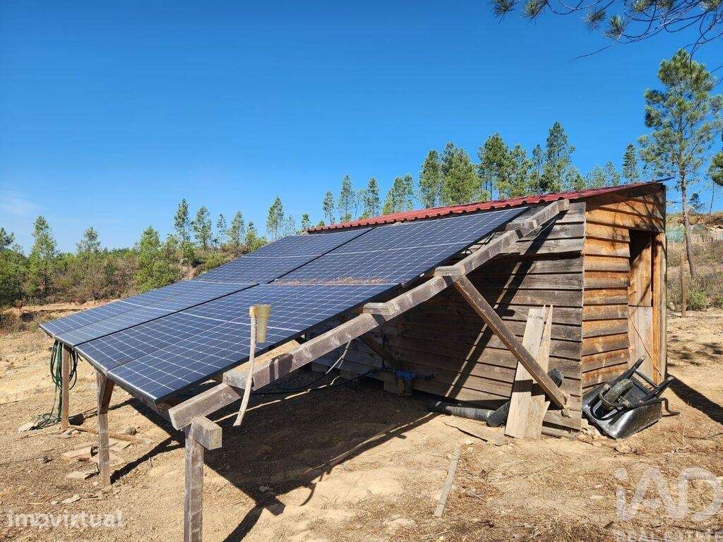 Terreno Agrícola em Ninho do Açor e Sobral do Campo - Grande imagem: 5/30
