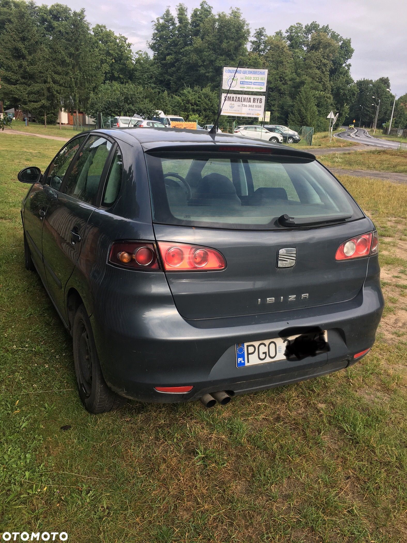 Seat Ibiza - 1