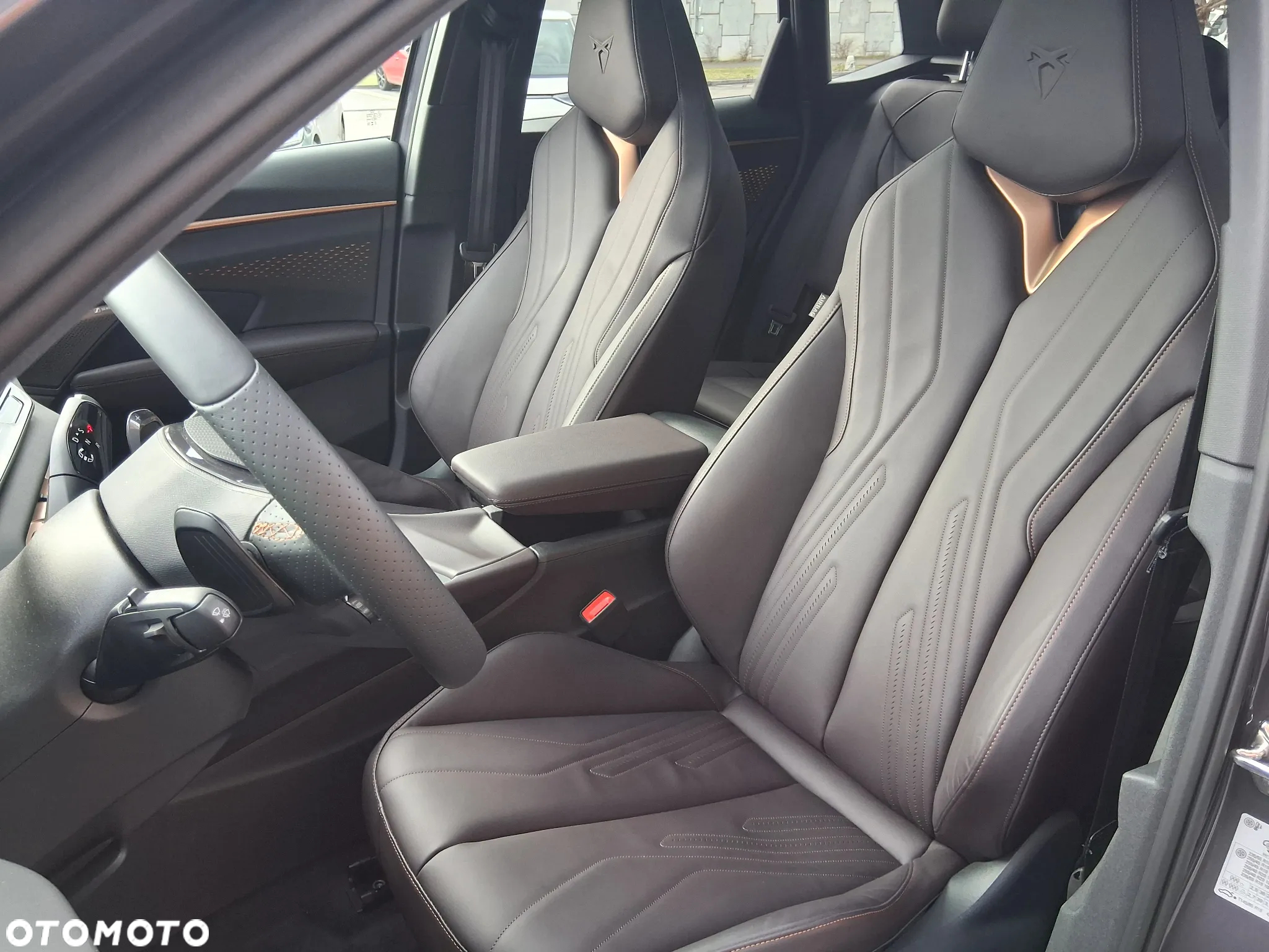 Cupra Terramar - 13