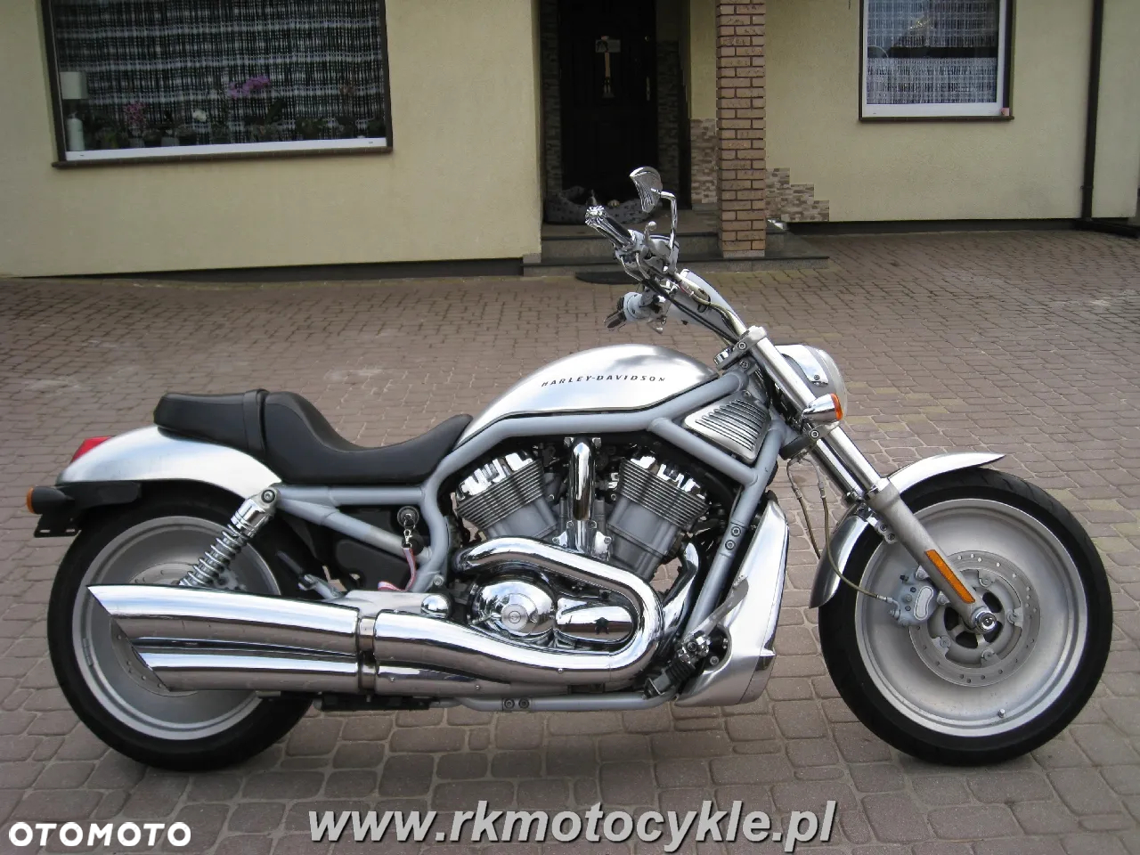 Harley-Davidson Softail V-Rod - 2