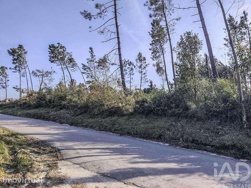 Terreno Agrícola em Maceira - Grande imagem: 4/7