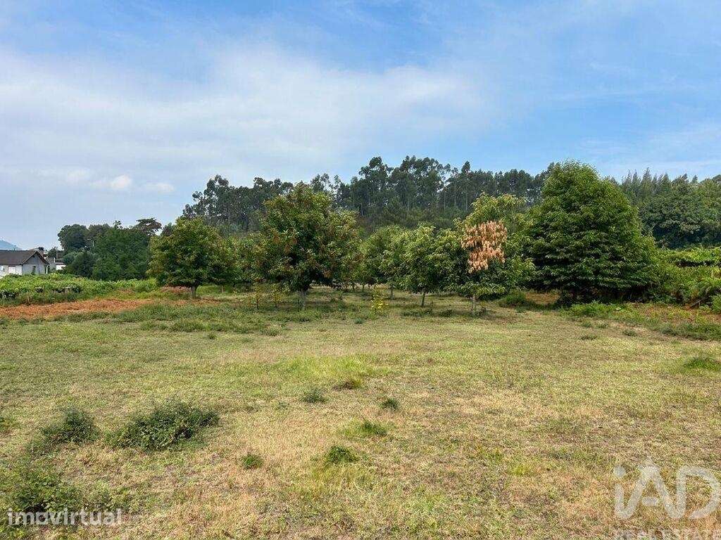 Quinta rural T3 em Fornelos e Queijada de 343,7 m2 - Grande imagem: 3/9