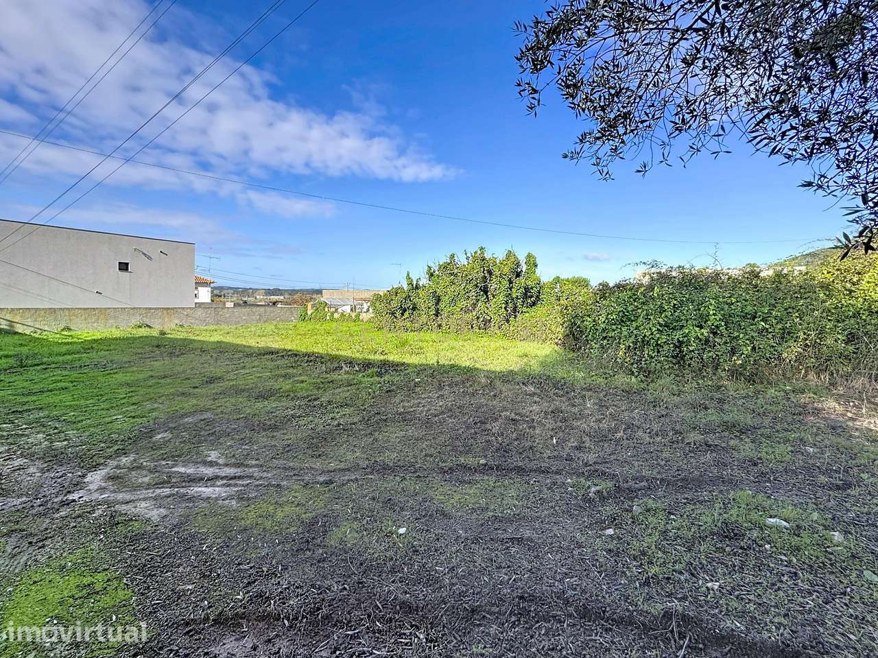 Terreno à venda em Coz, Alcobaça - Oportunidade Única! - Grande imagem: 2/7