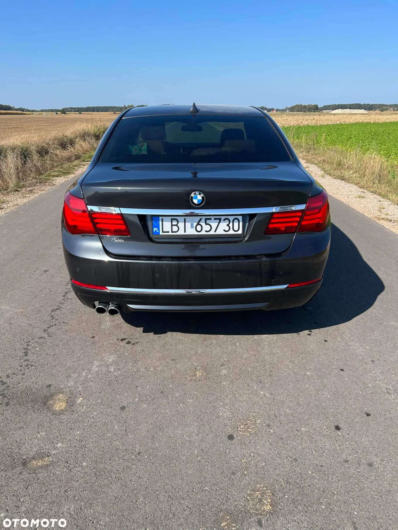 BMW Seria 7 730d - 7