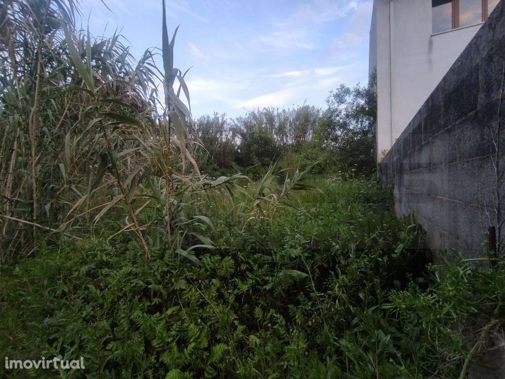 Lote de terreno para construção de moradia - Palhaça - Grande imagem: 2/21