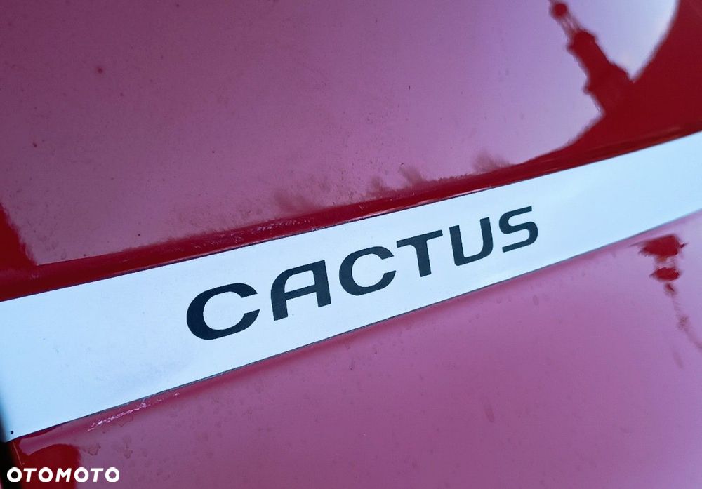 Citroën C4 Cactus - 13