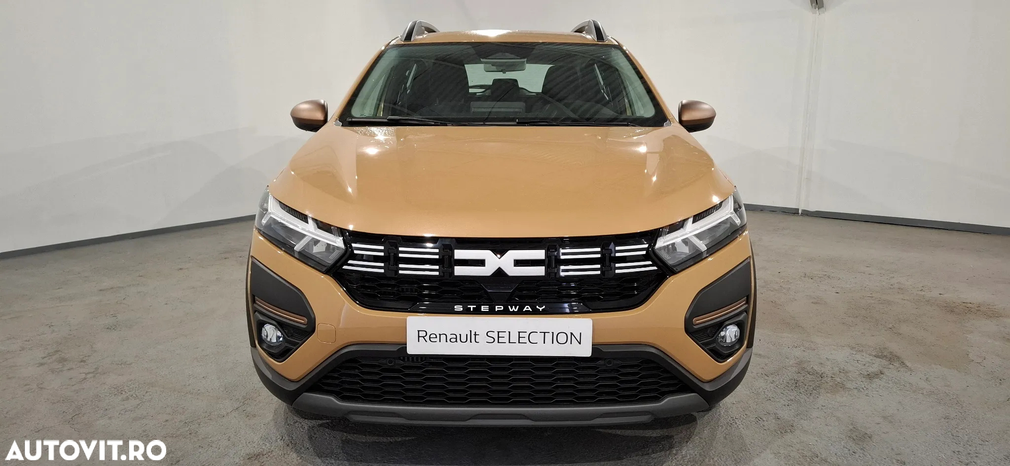 Dacia Sandero Stepway ECO-G 100 MT6 Extreme - 10