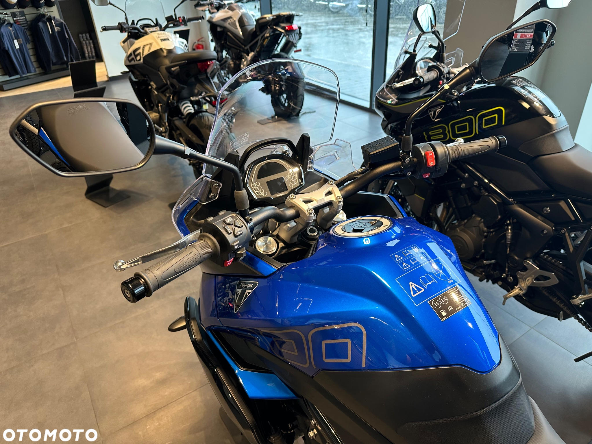 Triumph Tiger - 6