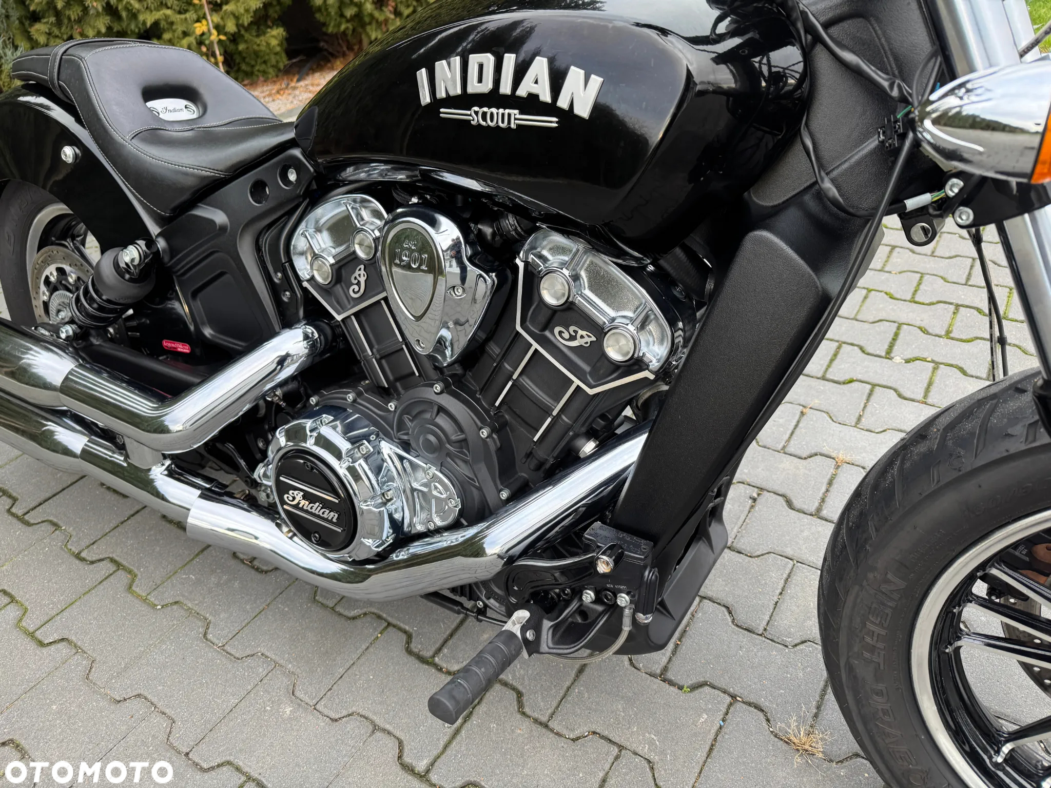 Indian Scout - 13