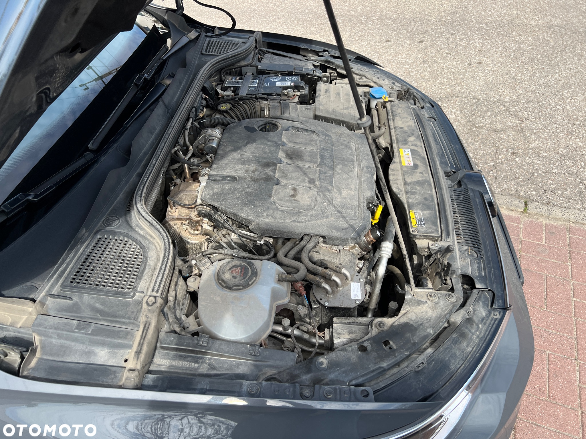 Volkswagen Golf VIII 2.0 TDI Style - 23
