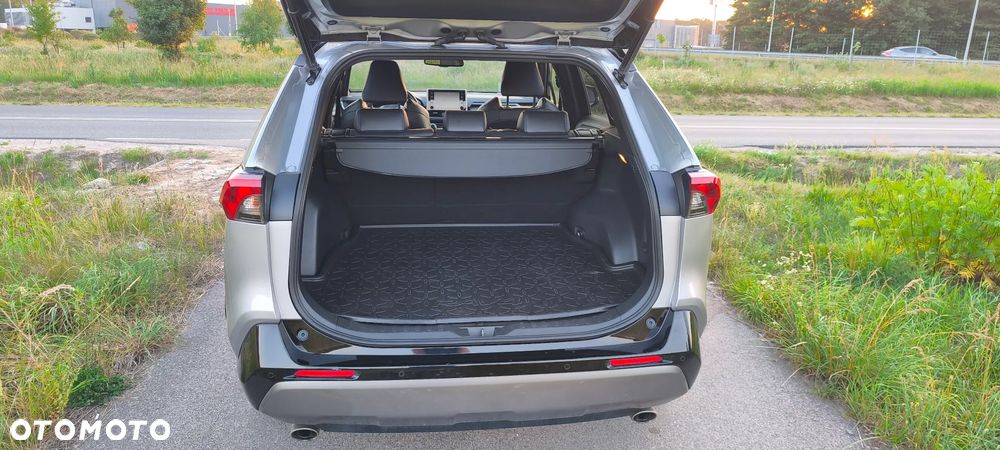Toyota RAV4 - 10