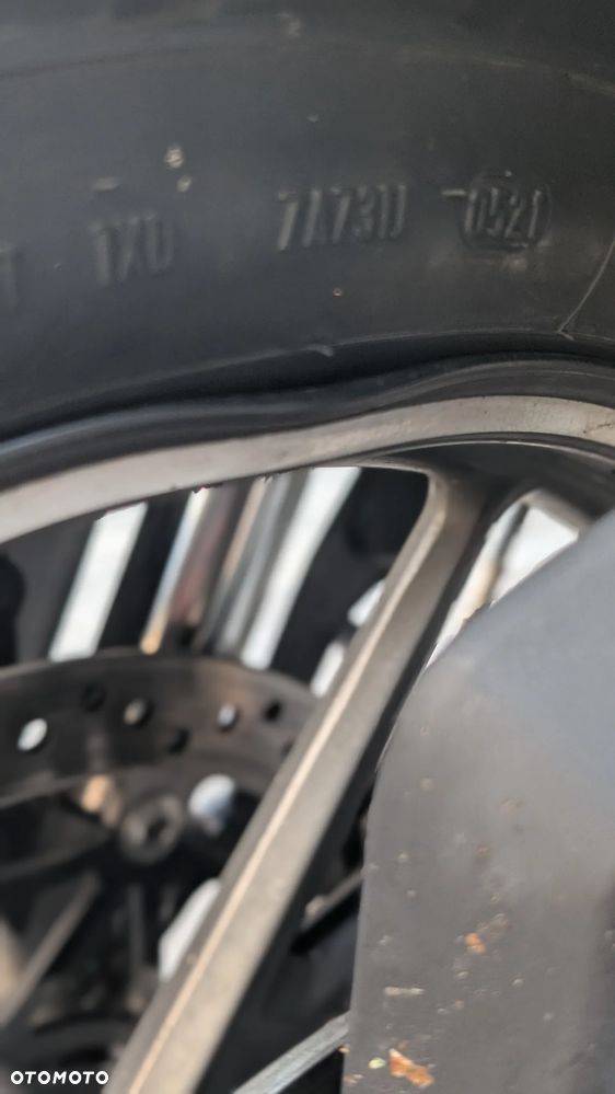 Triumph Tiger - 12
