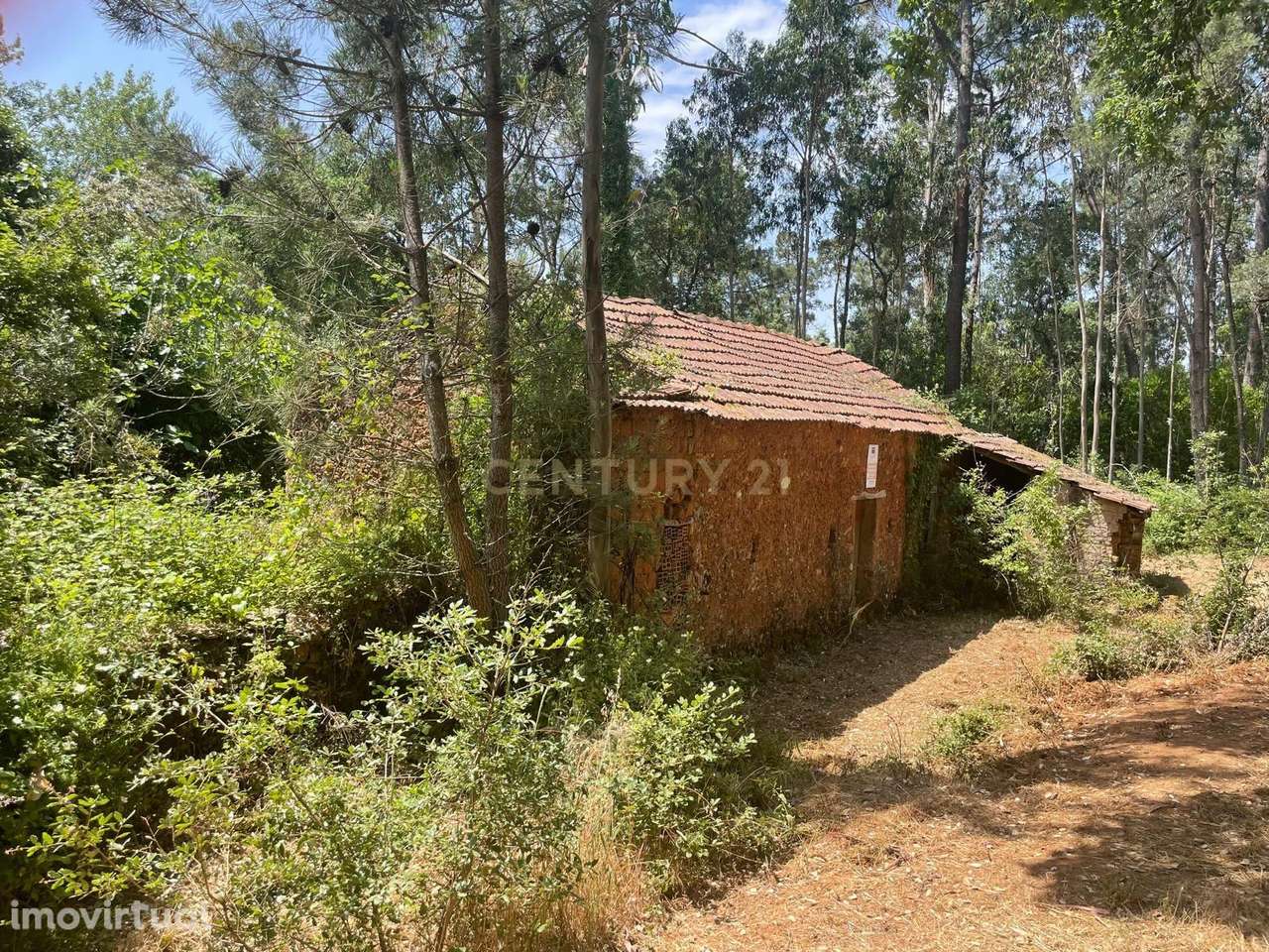 Moradia Térrea para Recuperar com Terreno de aproximadamente 1.600 m² - Grande imagem: 2/10
