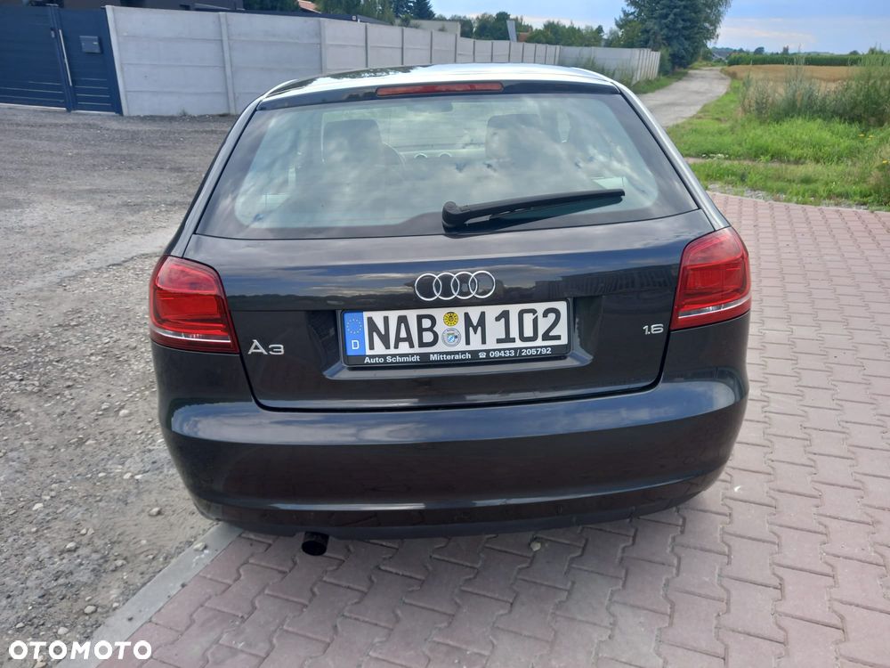 Audi A3 3-drzwiowe 1.6 Limited Edition - 7