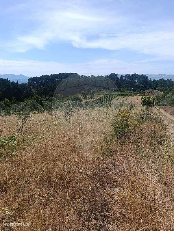 Terreno  para venda - Grande imagem: 4/4